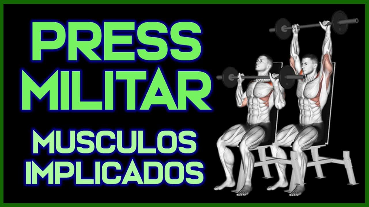 musculos press militar