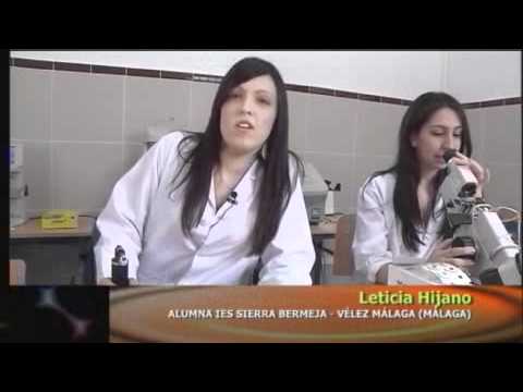 optica militar moncloa