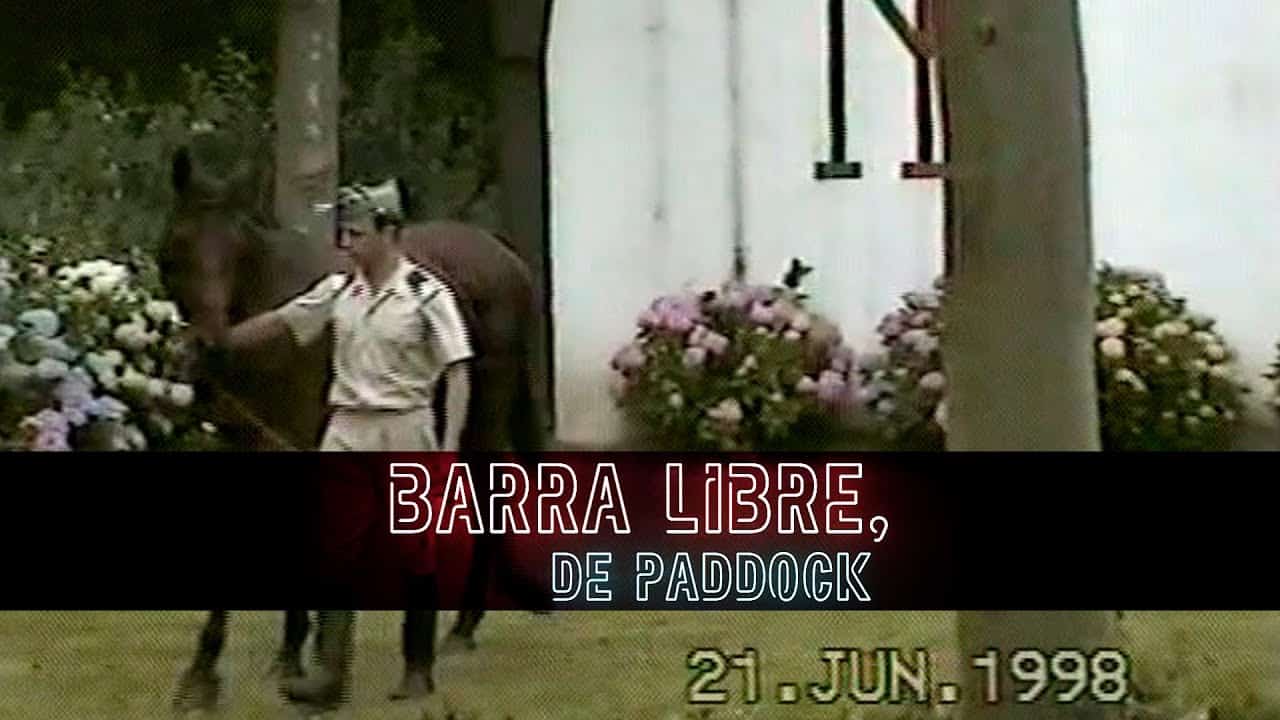 proxima subasta yeguada militar