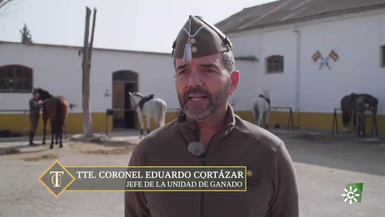 sementales yeguada militar