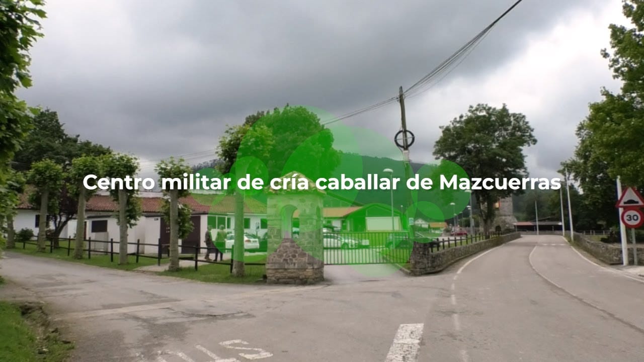 yeguada militar de ibio 2023