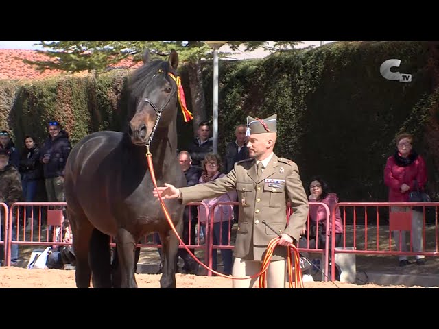 yeguada militar zaragoza